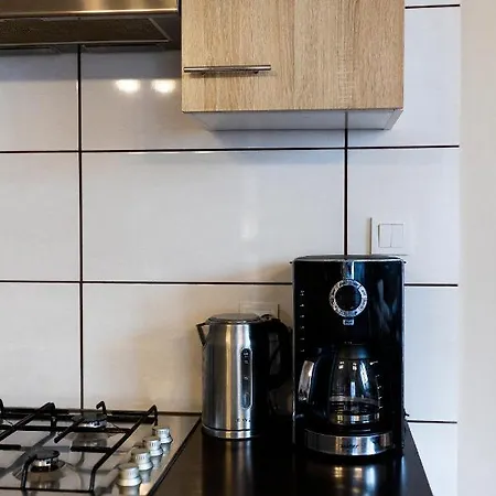 Apartamento Rodzinny Folker *
